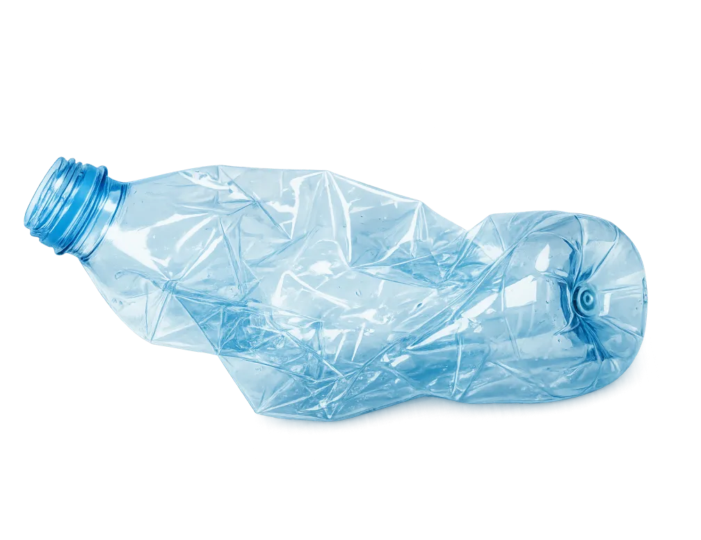 Bottle